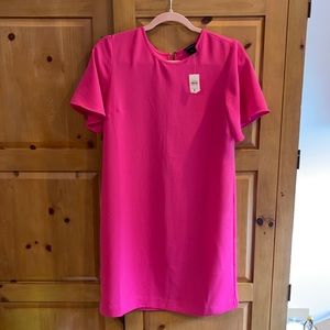 NWT Ann Taylor Hot Pink Shift Dress